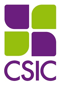 CSIC - Isologotipo - Variacin Vertical